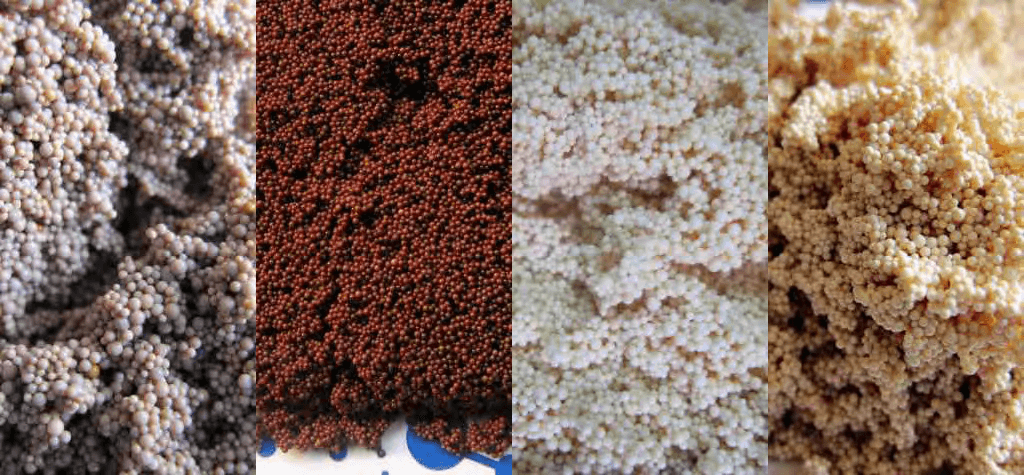 macroporous adsorbent resin